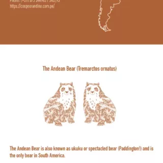 MIKE&BECKY's Piura 70 - info about Norandino and the Spectacle Bear