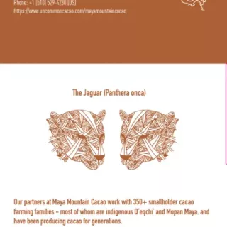 MIKE&BECKY's Maya Mountain 70% origin and jaguar