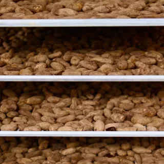 Roasted cacao beans – Qori Warmi Cusco – Peru