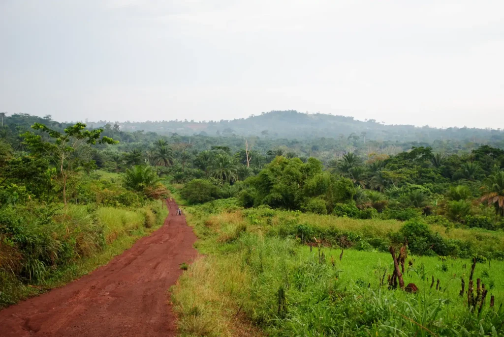 Mb1 Watalinga Kivu