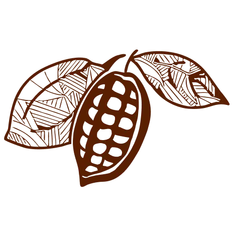 Cacao Sourcing Step