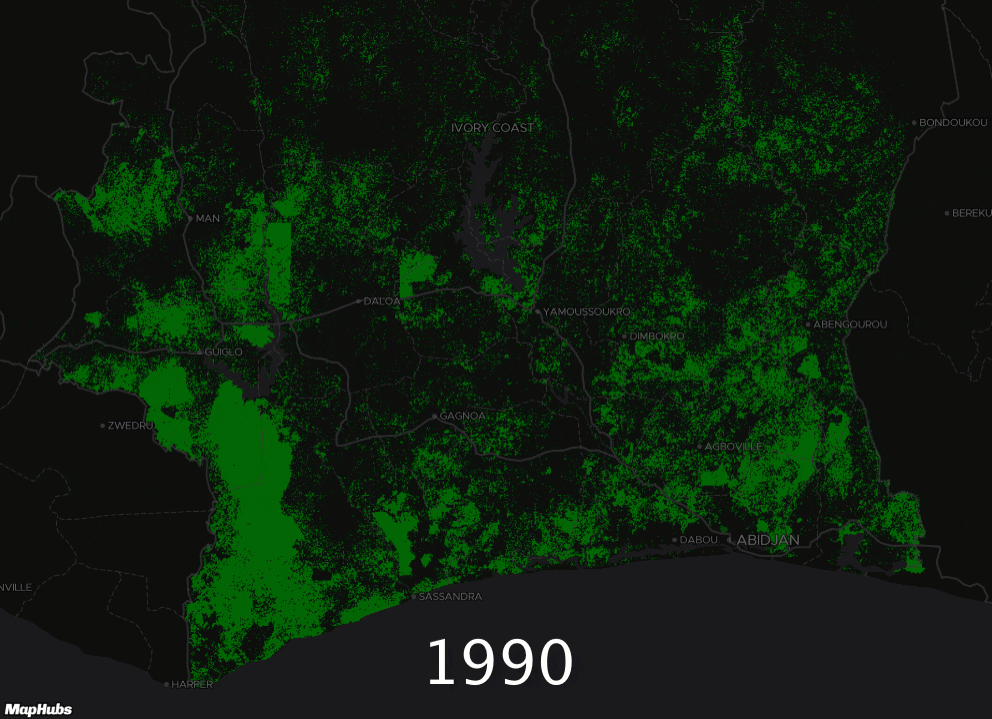 An animated time-lapse map showing the progression of deforestation across the Ivory Coast's protected forest reserves and national parks between 1990 and 2015, including impacts on chimpanzee habitats. Image courtesy of Mighty Earth, with thanks.