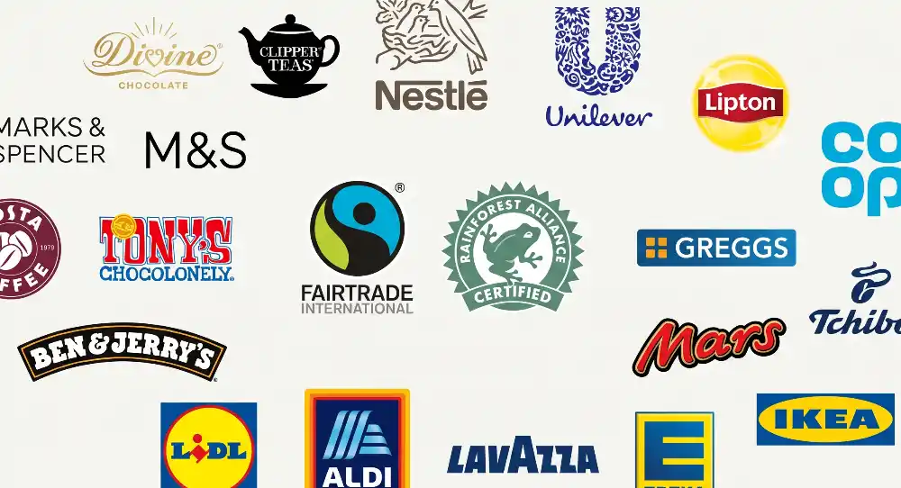 An illustrative slide featuring the Fairtrade International and Rainforest Alliance Certified logos in the center, surrounded by the logos of verified European corporate partners and brands, including Divine, Clipper Teas, Nestlé, Unilever, Lipton, Co-op, Greggs, Tchibo, Mars, IKEA, Edeka, Lavazza, Aldi, Lidl, Ben & Jerry’s, Tony’s Chocolonely, Costa Coffee, and Marks & Spencer, on an off-white background.